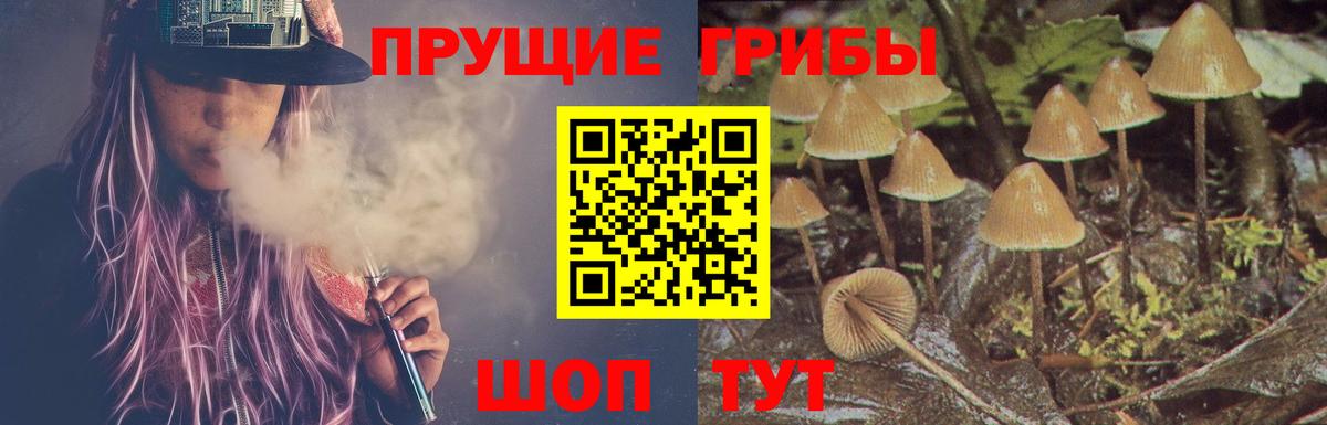 Грязи  дарнет шоп  Вход с VPN  Галлюциногенные грибы Magic Shrooms 